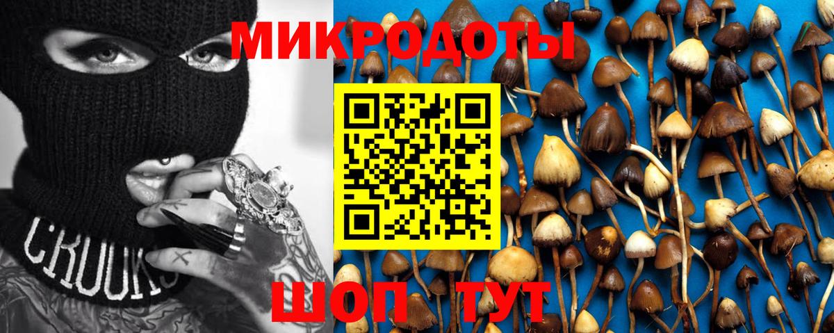Галлюциногенные грибы Psilocybe  Вход с VPN  купить   Псилоцибиновые грибы прущие грибы  Камышин 